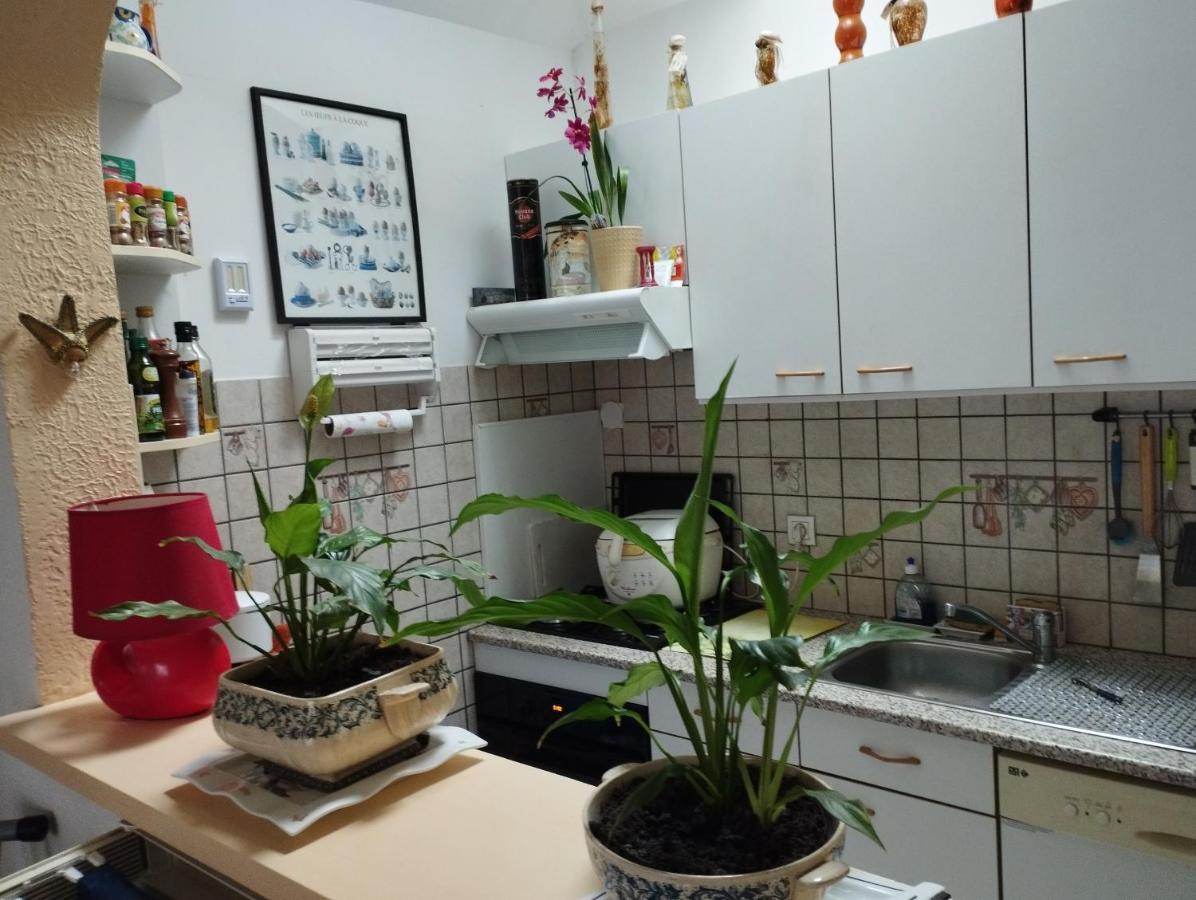 Chambre D'Hote Dans Maison Individuelle Saint-Malo Kültér fotó